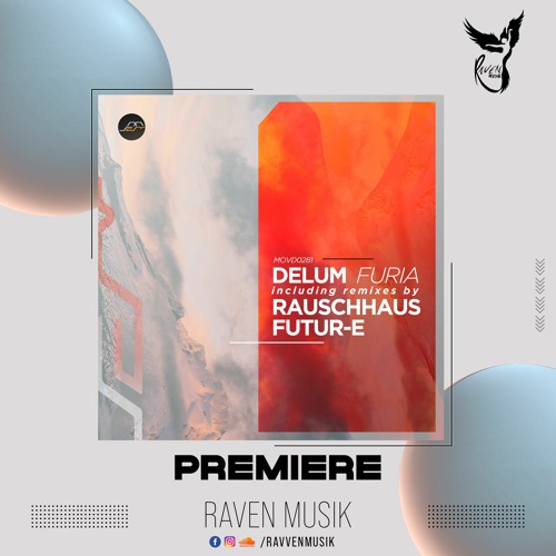 PREMIERE: Delum - Furia (Rauschhaus Remix) [Movement Recordings]