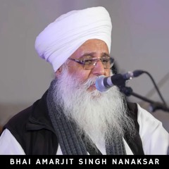 Sabh Hoon Mil Gaio | Raag Basant | Bhai Amarjit Singh Nanaksar