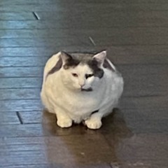 Imogen Heap - Headlock (MimiKey Remix)