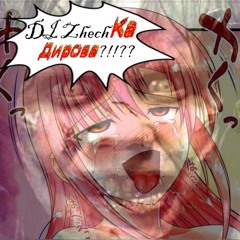 DJ ZhecКа Дир0ва - 私は愛する┌∩┐(◣_◢)┌∩┐女性のオマ