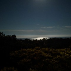 only here for a bit (vip)