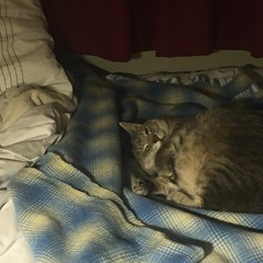 Merry Christmas for now