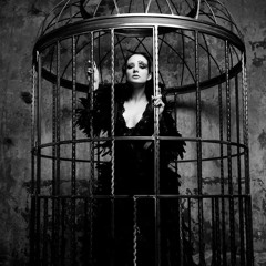 NotFlokknWithYou (Byrdcrib)