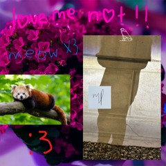a red panda & Molly Pitcher - love me not