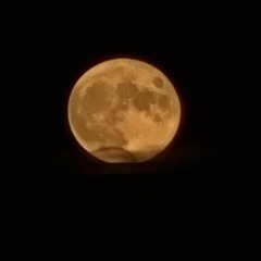 Nas Spicy remix ft - DA TRUTH SUSMOVES