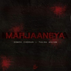 MARJAANEYA - SOMEE CHOHAN | TALHA ANJUM (Official Audio)