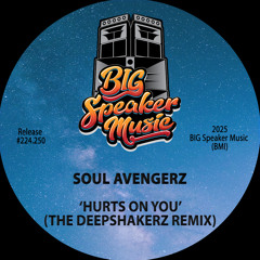 Hurts On You (The Deepshakerz Remix)