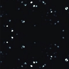 dreamdefinitive