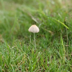 Bweagle - Deephouse006