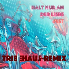 Halt Nur An Der Liebe Fest (Tribe - Haus Remix) 116 BPM