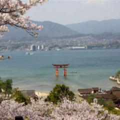 Review Special Price 1 Day Hiroshima And Miyajima Bus Tour From