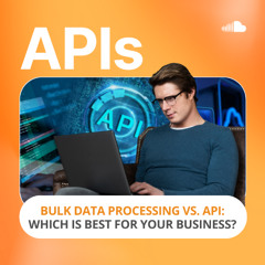 Bulk Data Processing vs. API Which Is Best for Your Business