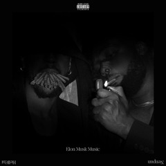 Elon Musk Music (feat. Nenpan)