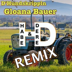 D'Hundsgrippln - Gloana Bauer (DJ Habe&Dere Bounce Remix)(Teenage Dirtbag)