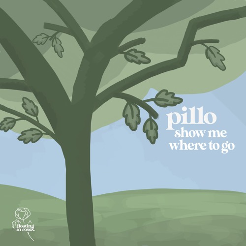 pillo - show me where to go