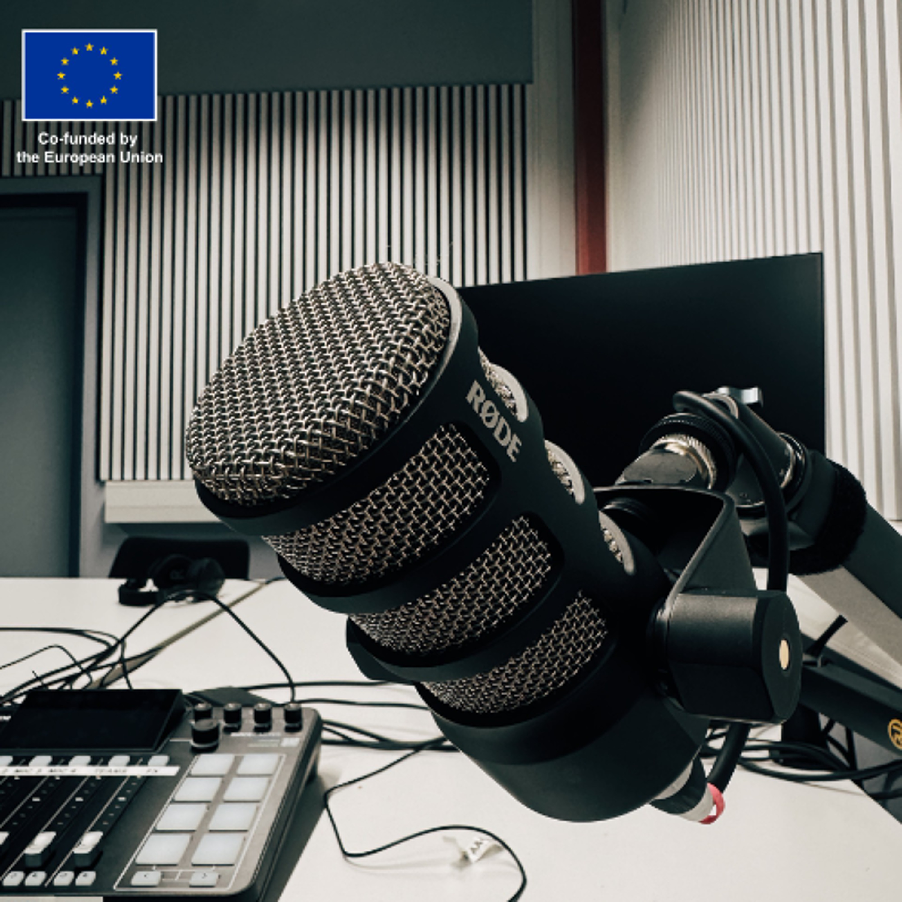 Nordic Podcast: Disinformation and its role in radio broadcasting episode artwork