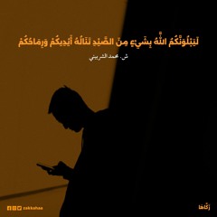 لَيَبْلُوَنَّكُمُ اللَّهُ بِشَيْءٍ مِنَ الصَّيْدِ تَنَالُهُ أَيْدِيكُمْ - ش. محمد الشربيني