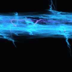 multifiolet (prod. @jordan_przyszedl)