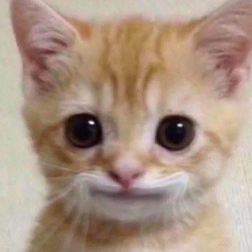 set hardtechno rock n’eat :)