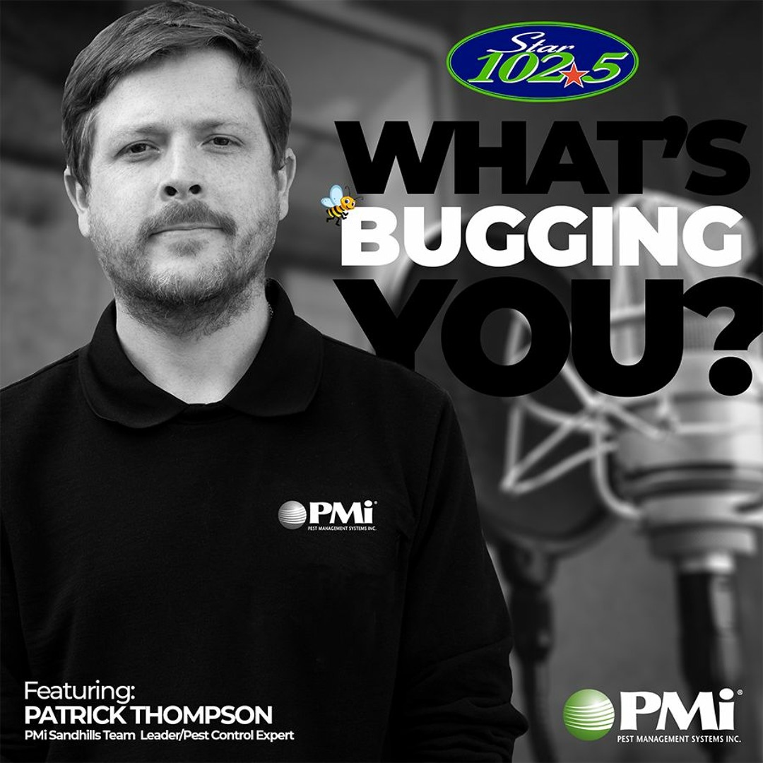 Stream Sandhills411 | Listen to PMI's - WHAT'S BUGGING YOU? playlist ...