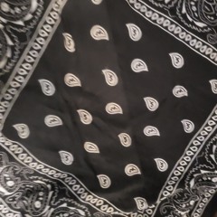 BLACK PAISLYS (rough mix)