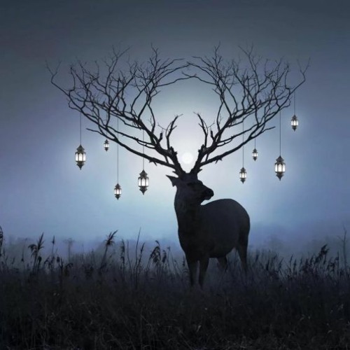 (Dodo loading background DOWNLOAD