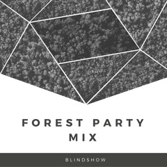 BlindShow - SVOI Forest Party Mix