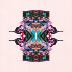 hyperparadise_flip