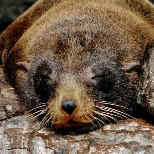 mixes II للدراسة والصلاة والتوبة والجهاد