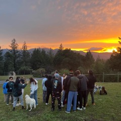 Sunday Improvised Bass Set - Casadero 2024