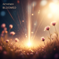 InTheMix - Bloomed