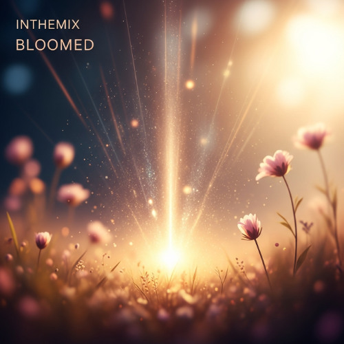 InTheMix - Bloomed