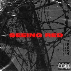 Seeing Red (ft. Dylan Noir & Nasty Noona)(prod. ZEMAR)