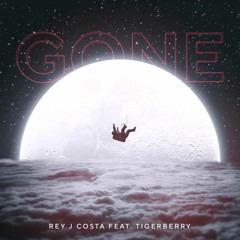 Rey J Costa Feat. Tigerberry - Gone