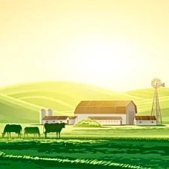 Dairy Farm