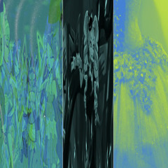 (liesa)33 lights🌟🌟