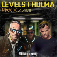 Pipex & Avicii - Levels i Hölma (Schelander Mashup)