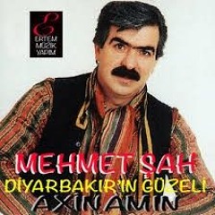 Mehmet Şah - Makaram Sarı Bağlar (Têkiliyên Zêr ên Makaram)