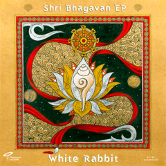 White Rabbit - Pushya