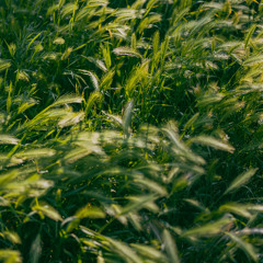 Alla fine ci colmerà il cuore