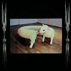 DRAAG - ORATO