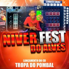 Cópia de Daily Drops
