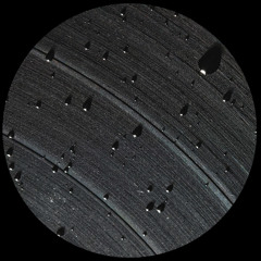 Black System
