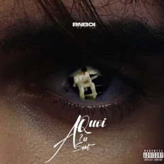 RnBoi - À quoi ça sert ?