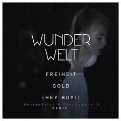 Freiheit = Gold (Hey Boy!) (Anstandslos & Durchgeknallt Remix)