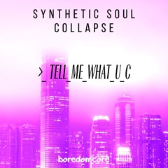 Synthetic Soul Collapse >_ TELL_ME_WHAT_U_C