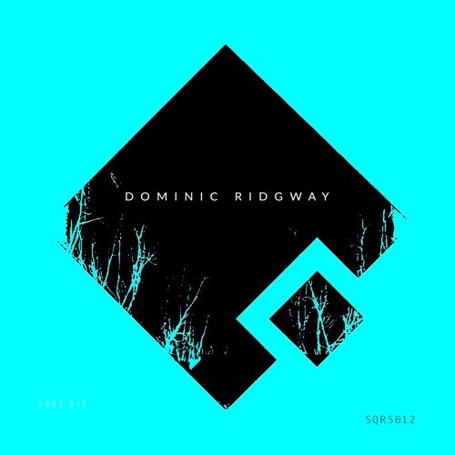Dominic Ridgway - Realities Dub