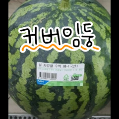 NCT DREAM - I hate fruits cover by DoDoL [jisung ver.]