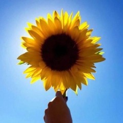 Sun's Out GingerS In