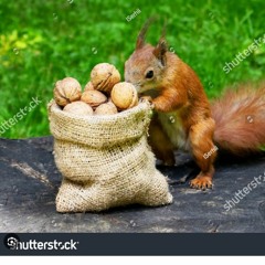 Nuts And Sea Salt